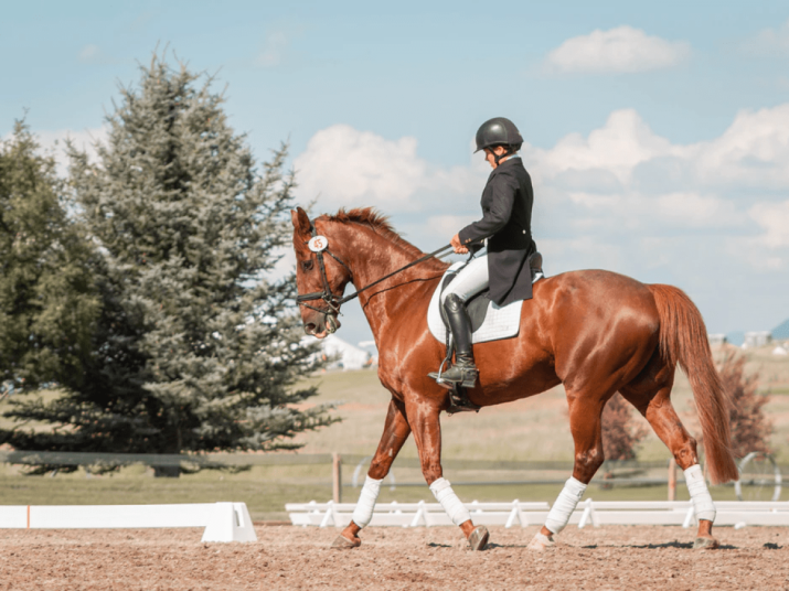 Experience the magic of horseback riding in Cappadocia, exploring hidden trails, fairy chimneys, and breathtaking landscapes on well-trained horses