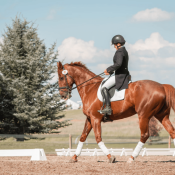 Experience the magic of horseback riding in Cappadocia, exploring hidden trails, fairy chimneys, and breathtaking landscapes on well-trained horses